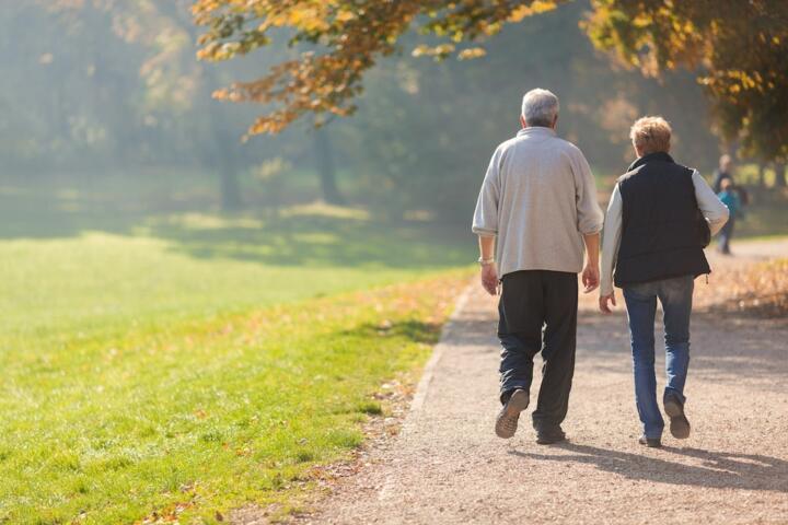 Can You Have Both an IRA and a 401(k)?