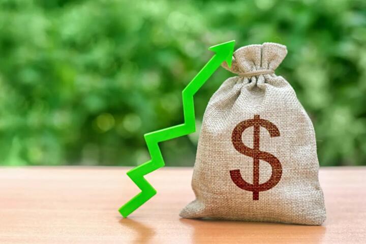 How Much Will My ETF Grow? Calculator