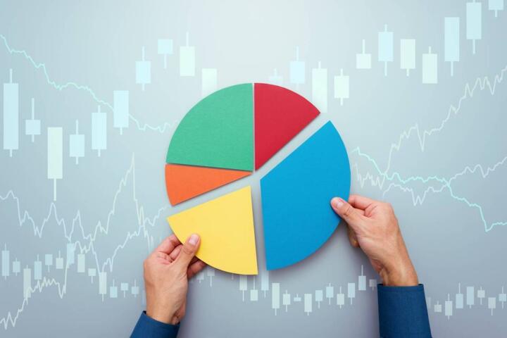 Portfolio Allocation Calculator